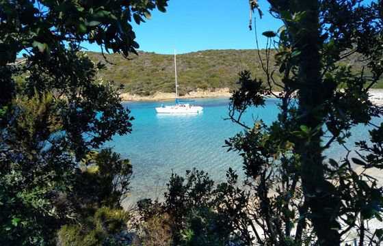 fountaine pajot louisianne
