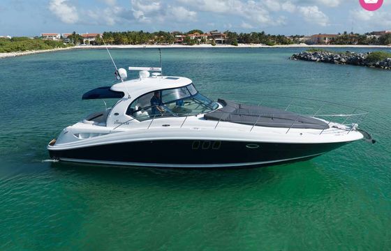 sea ray 40