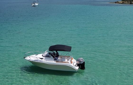 quicksilver 620 cruiser