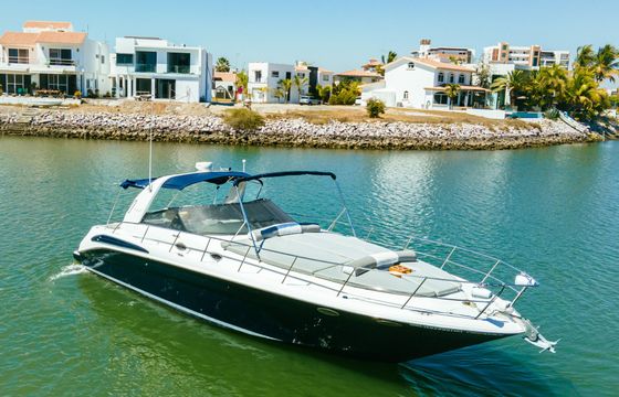 sea ray 420