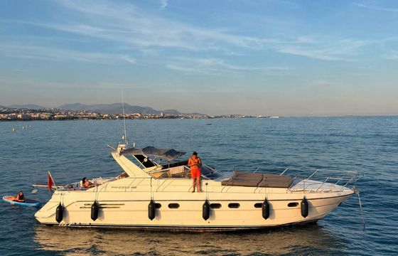 princess v46