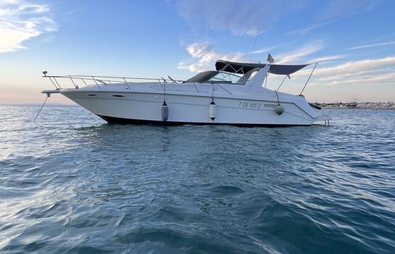 sea ray 350 da