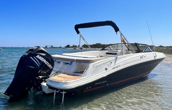 bayliner vr6