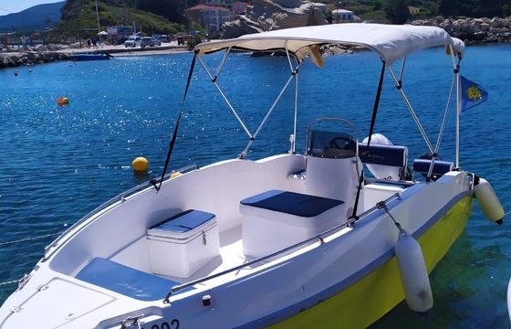 nireus elegance