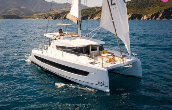 bali 4.2 cat