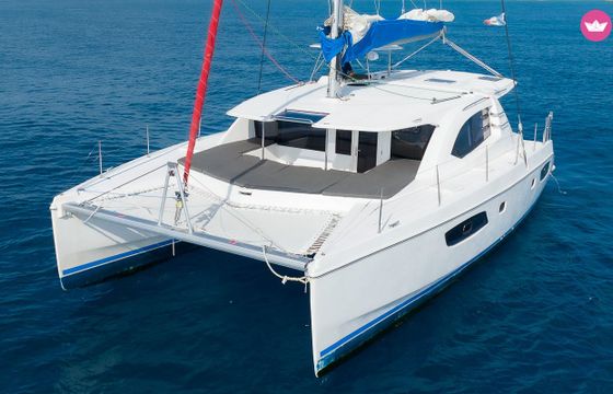 leopard 44