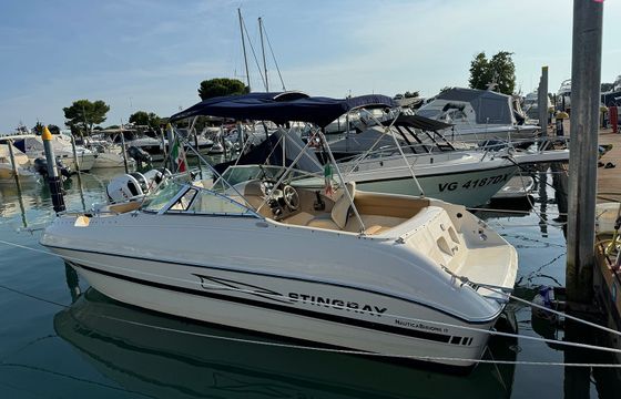 stingray 220 ds