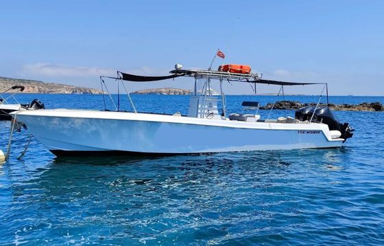 contender 31open