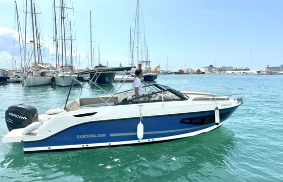 quicksilver activ 755 cruiser