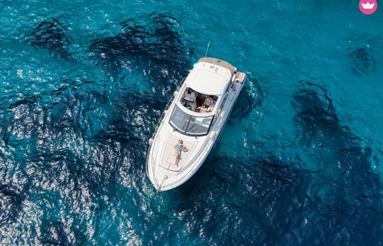 jeannau leader 36