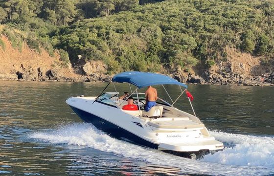 sea ray sundeck 240