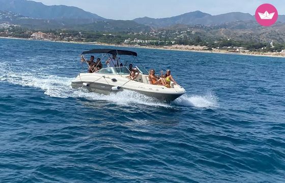 sea ray 200 sd 220hp