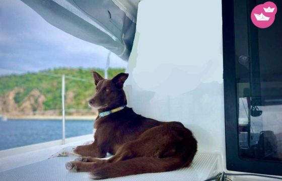 fountaine pajot lucia