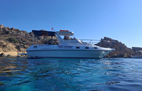 private boat charters