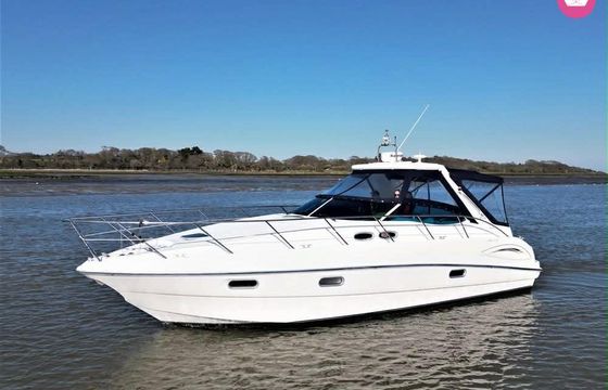 sealine s 38