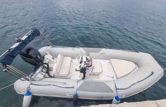 mercury 4.6