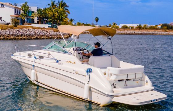 sea ray 240 sundancer