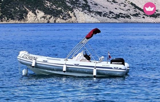 bayliner marine kolibri