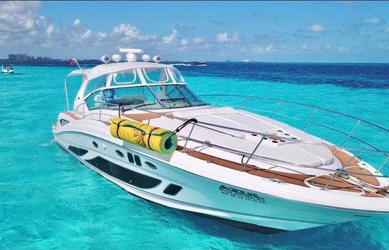 sea ray 2010