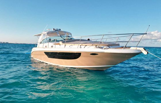 sea ray express