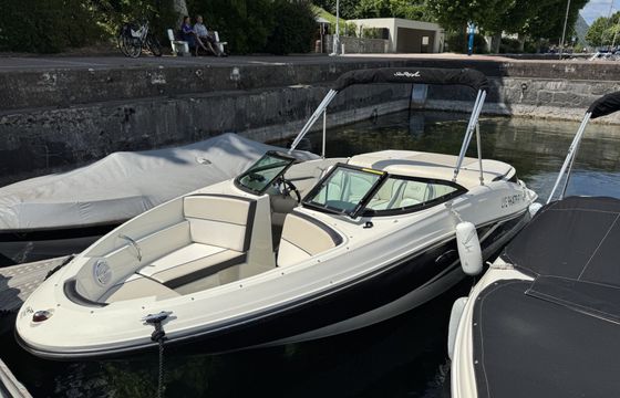 sea ray 190 sport