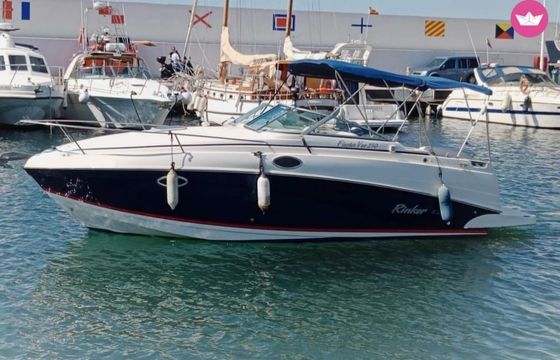 rinker fiesta vee 250