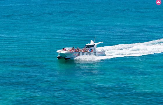 catamaran custom