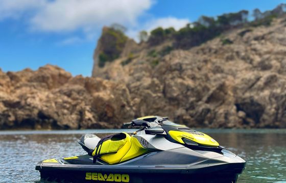seadoo gtr 230