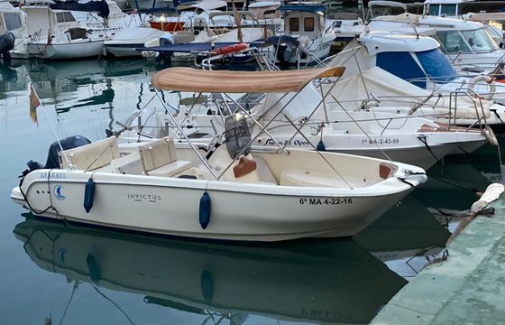 invictus fx 190