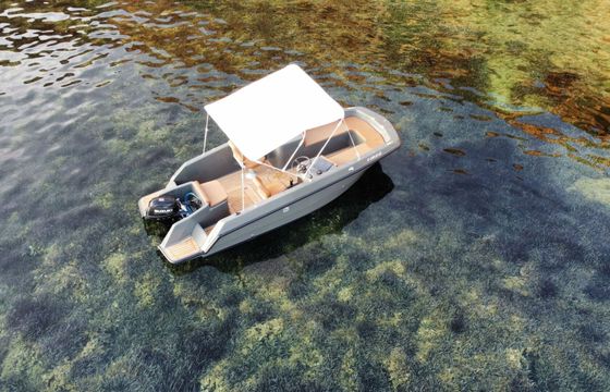 magonis wave 550