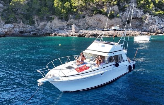 bertram c37