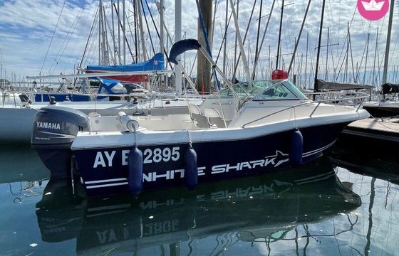 kelt white shark 206