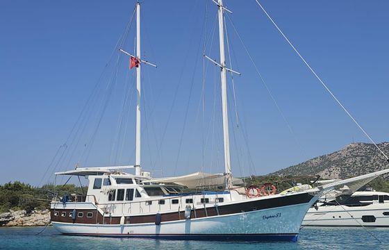daphne s1 by zar