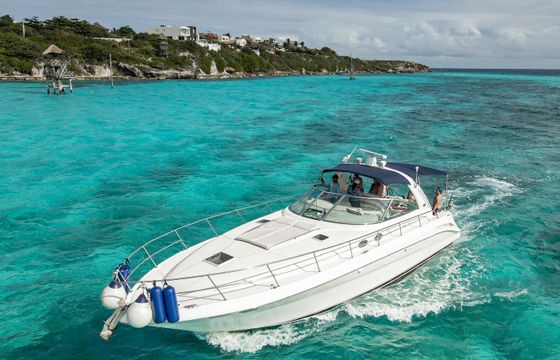 sea ray sundancer