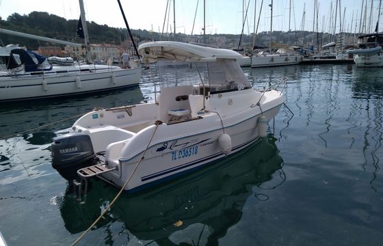 quicksilver 530 flamingo