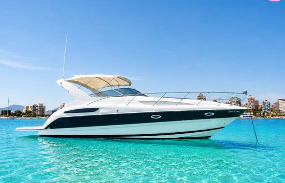 bayliner bayliner ciera