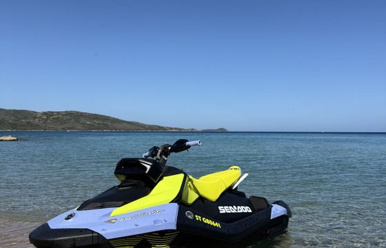 seedoo spark trixx
