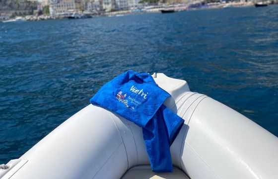 joker boat coaster 650