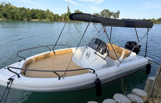 ranieri shark 19