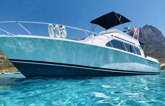 mainship sedan 40 bridge