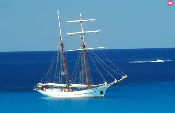 van den berg topsegelschoner