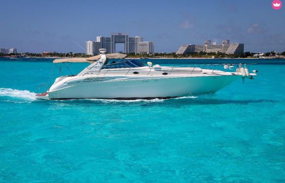 sea ray sundancer