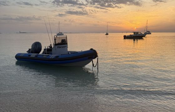 tarpon dv 62
