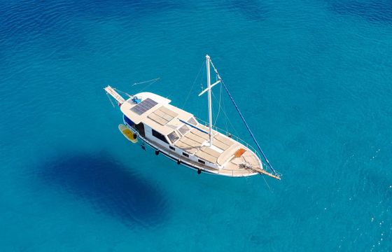 bodrum type 2000