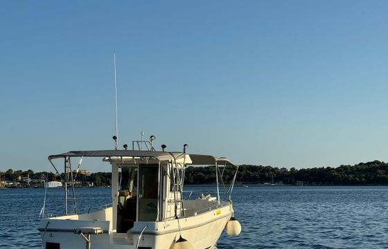triakis c30