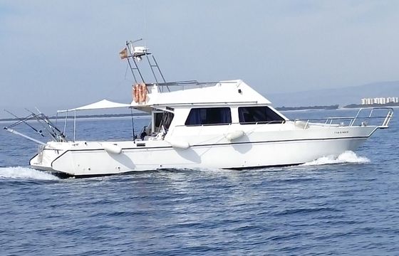 astiboat 12