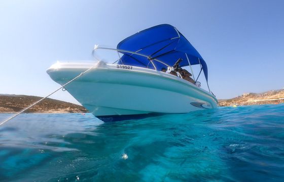 ranieri shark 17