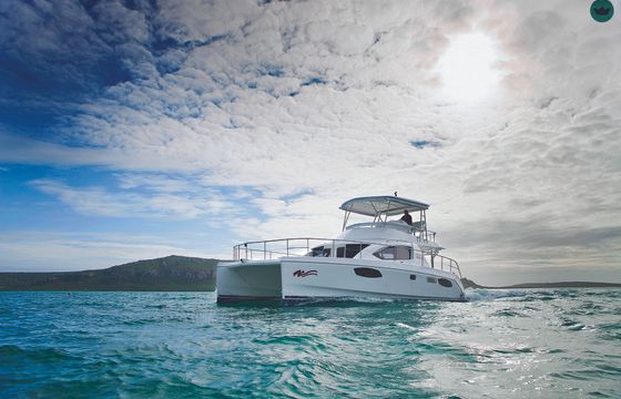 robertson &amp; caine leopard 39 powercat