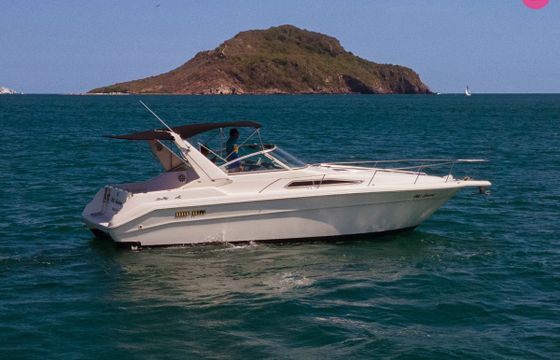 sea ray 320 sundancer