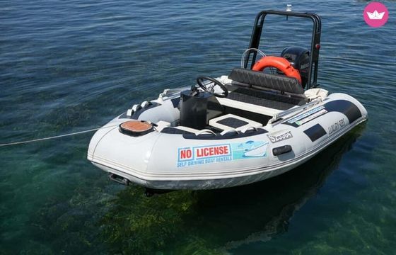 luxury ribs mini